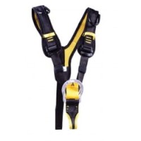 250px_DRAGON TOP 1.jpg